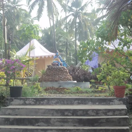 Five Five Restaurant And Guest Tents